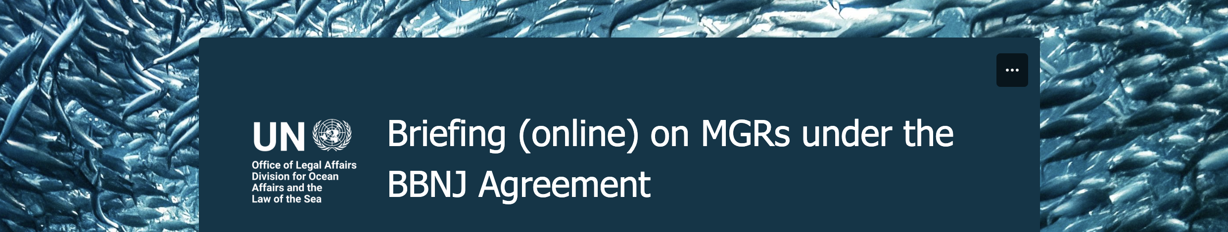 Briefing on MGRs under the BBNJ Agreement