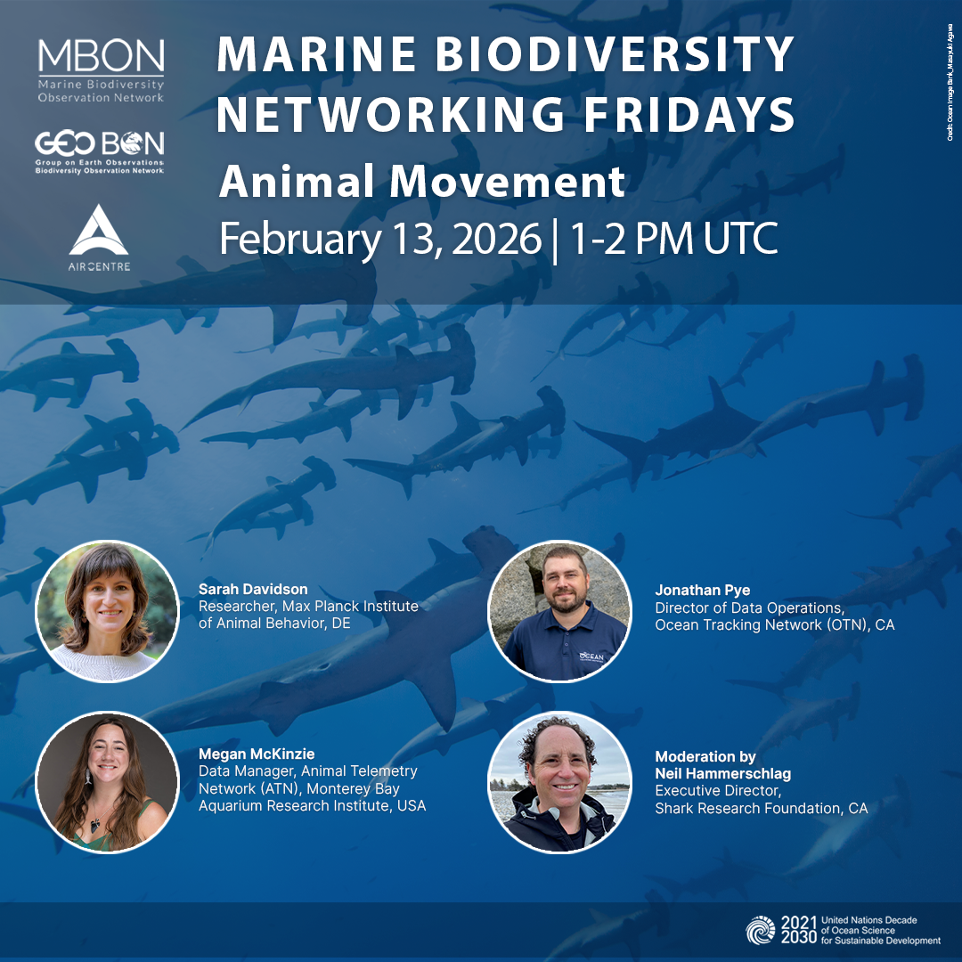 Marine Biodiversity Networking Friday: Animal Movement