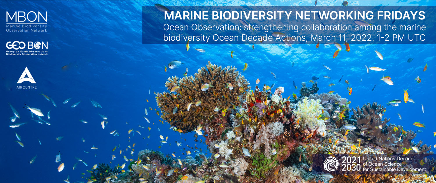 Marine Biodiversity Networking Fridays 4