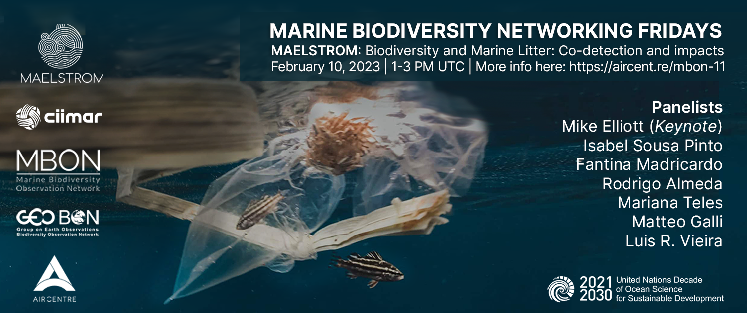 Marine Biodiversity Networking Friday with MAELSTROM