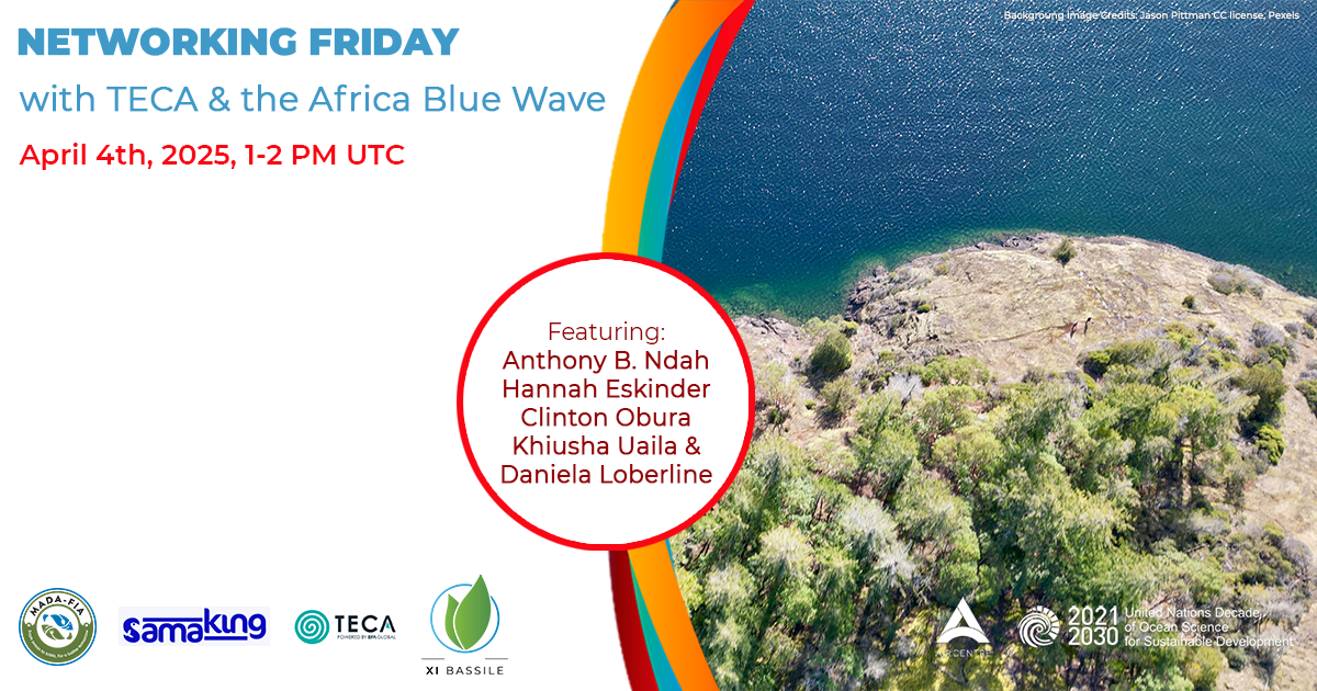 Networking Fridays with TECA and the Africa Blue Wave