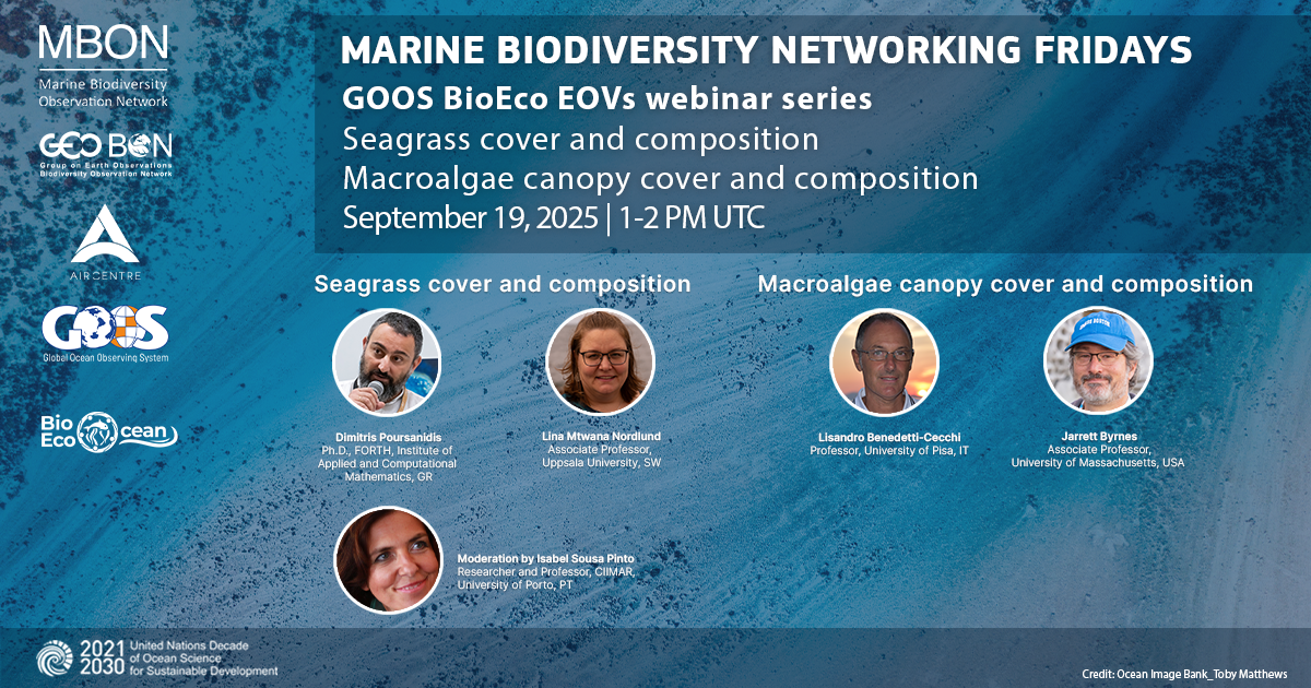 Marine Biodiversity Networking Fridays || GOOS BioEco EOVs webinar series || Seagrass cover and composition & Macroalgae canopy cover and composition