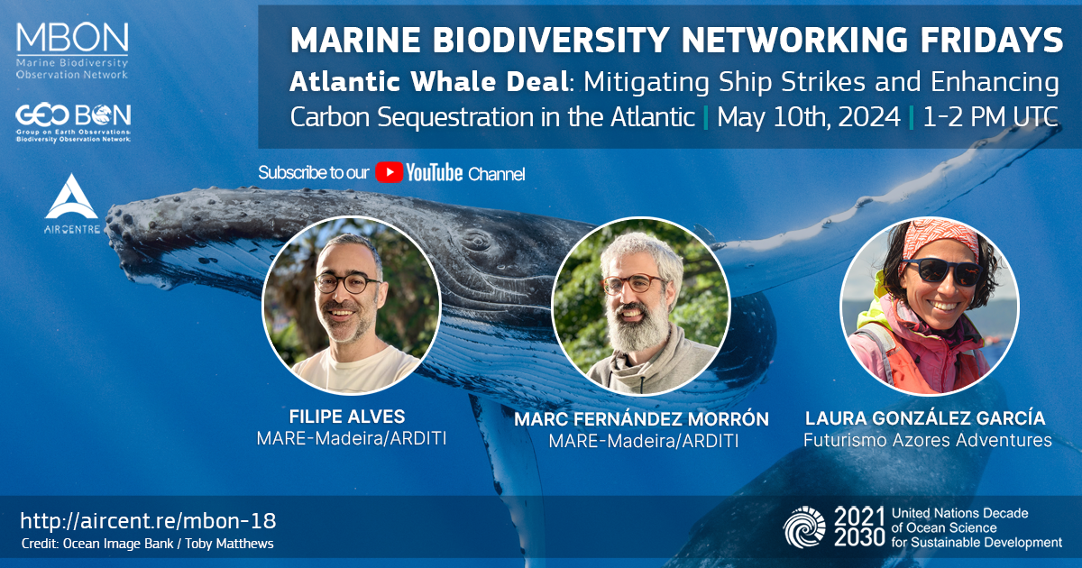 Marine Biodiversity Networking Friday with Atlantic Whale Deal