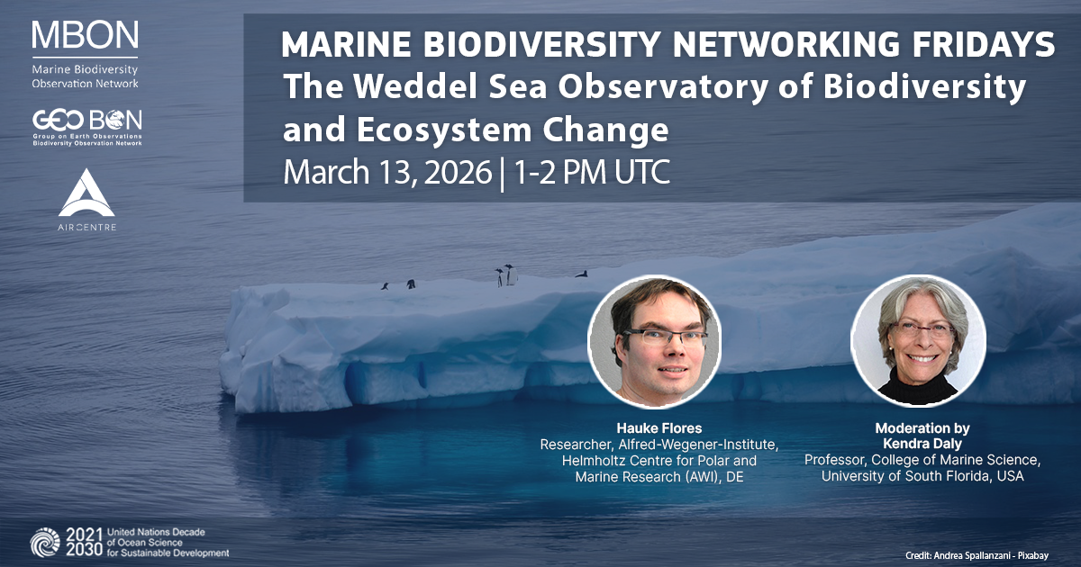 Marine Biodiversity Networking Friday: The Weddel Sea Observatory of Biodiversity and Ecosystem Change