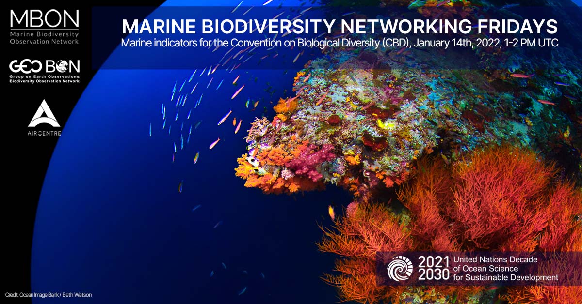Marine Biodiversity Networking Fridays