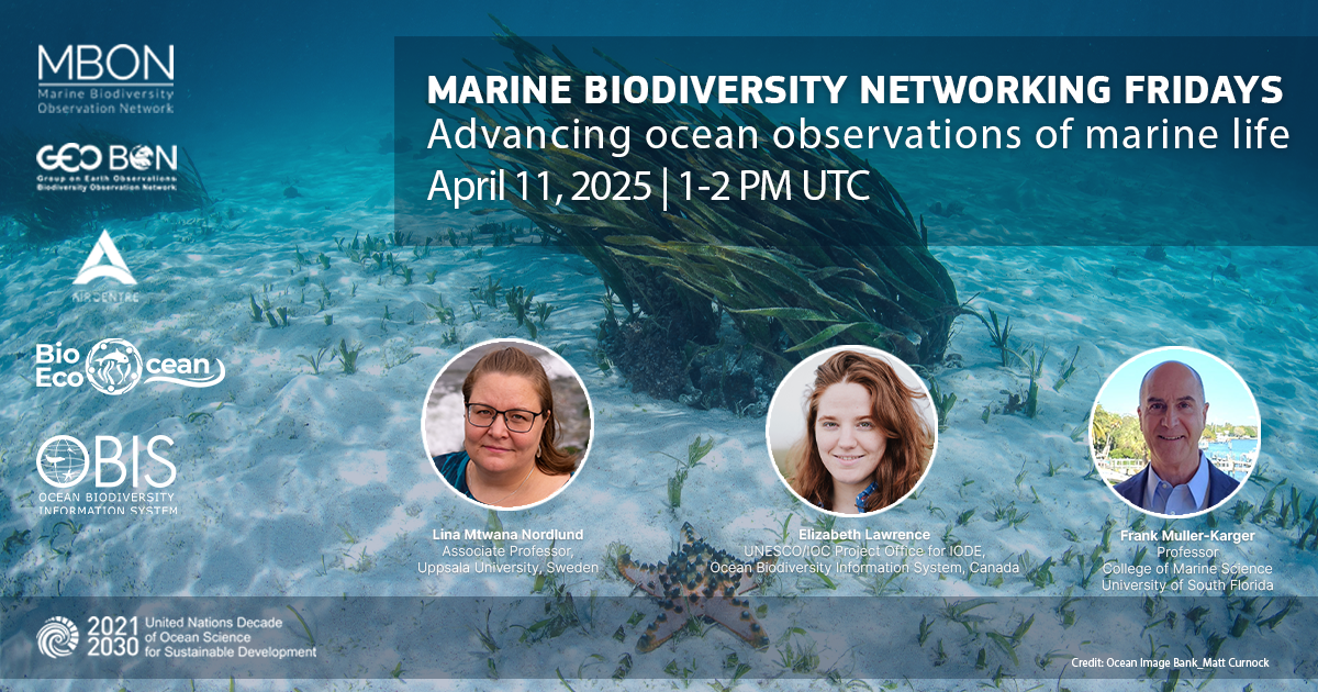 Marine Biodiversity Networking Friday: Advancing ocean observations of marine life