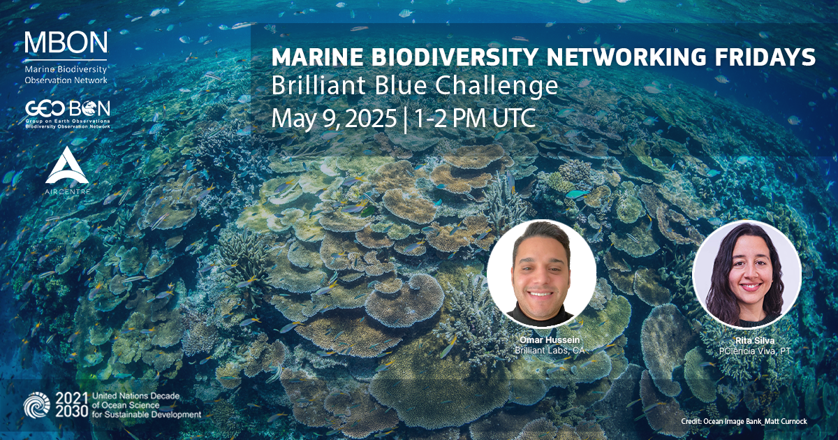 Marine Biodiversity Networking Friday on Brilliant Blue Challenge