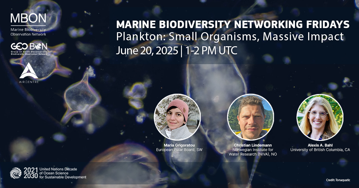 Marine Biodiversity Networking Friday on Plankton: Small Organisms, Massive Impact