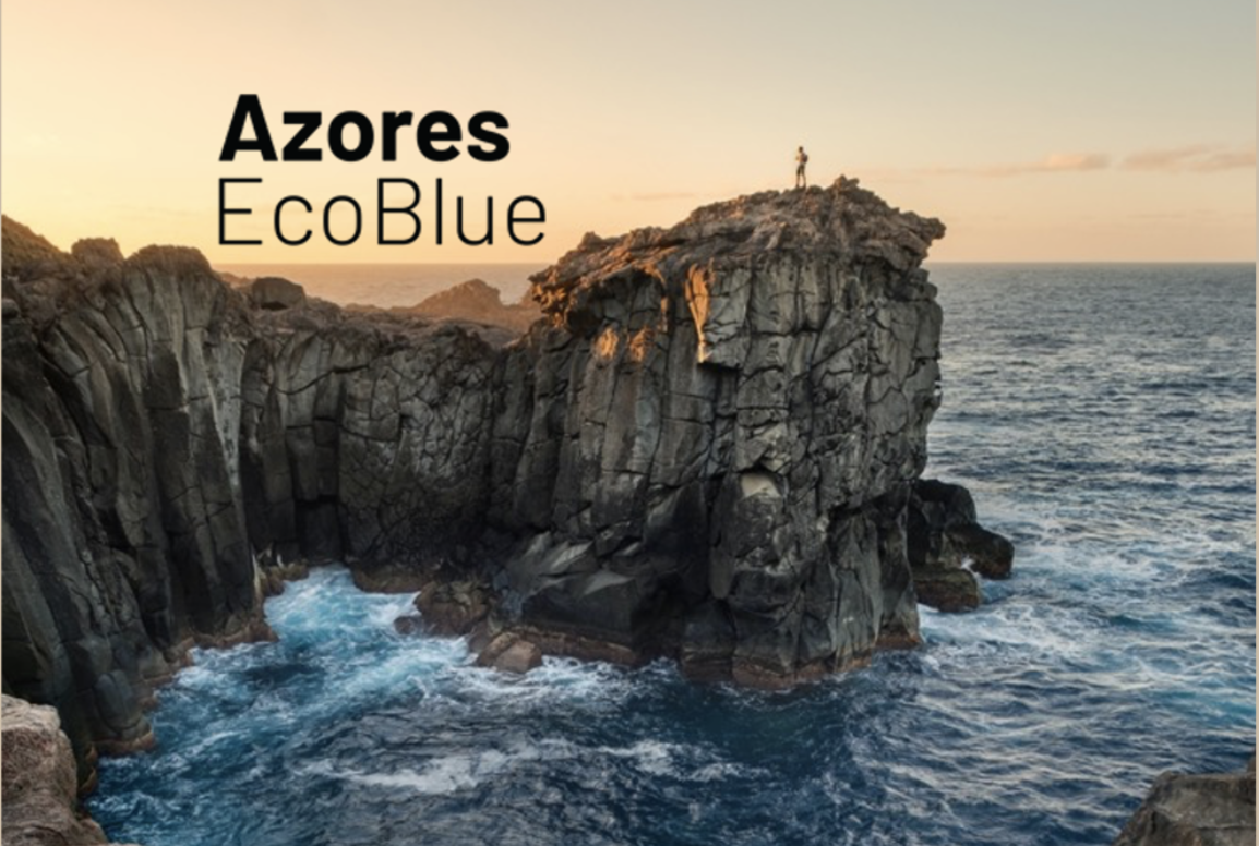 Azores EcoBlue will develop new textile fibers from marine litter