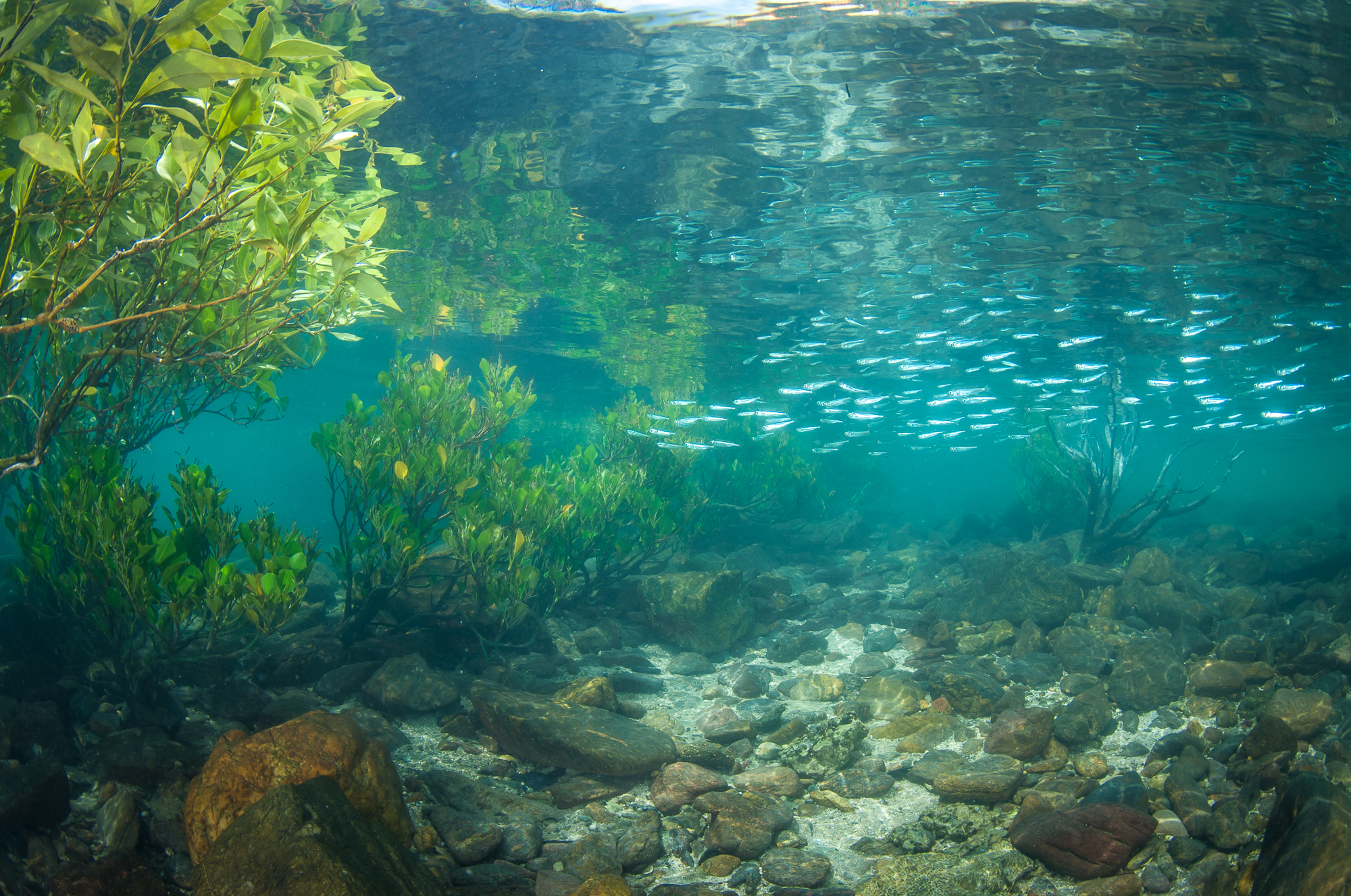 Applications for the One Ocean Expedition Course on Climate Science, Policy, and Human-Nature Connections – a UT Austin Portugal sponsored ocean mission