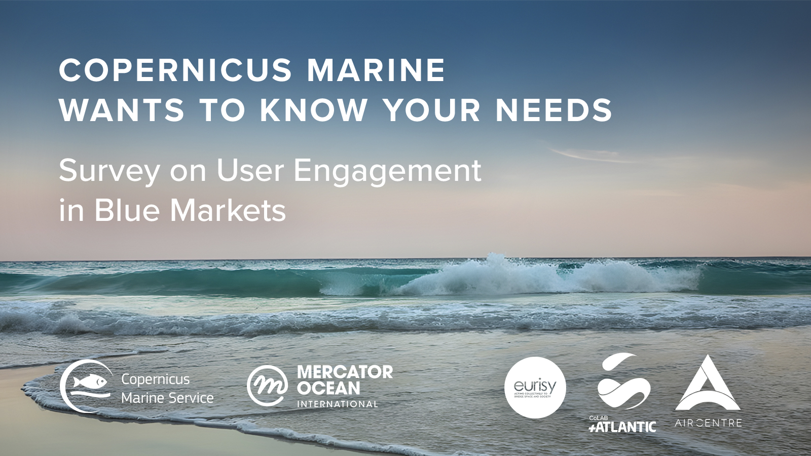 Call for Participation: Survey on User Engagement in Blue Markets