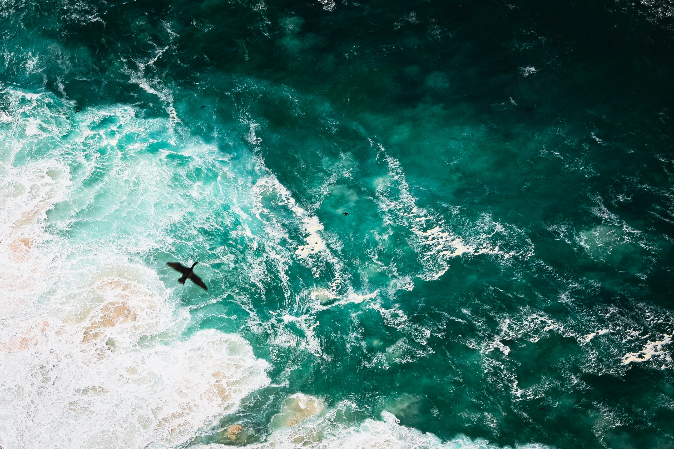 Warning Sign for Atlantic Current Collapse