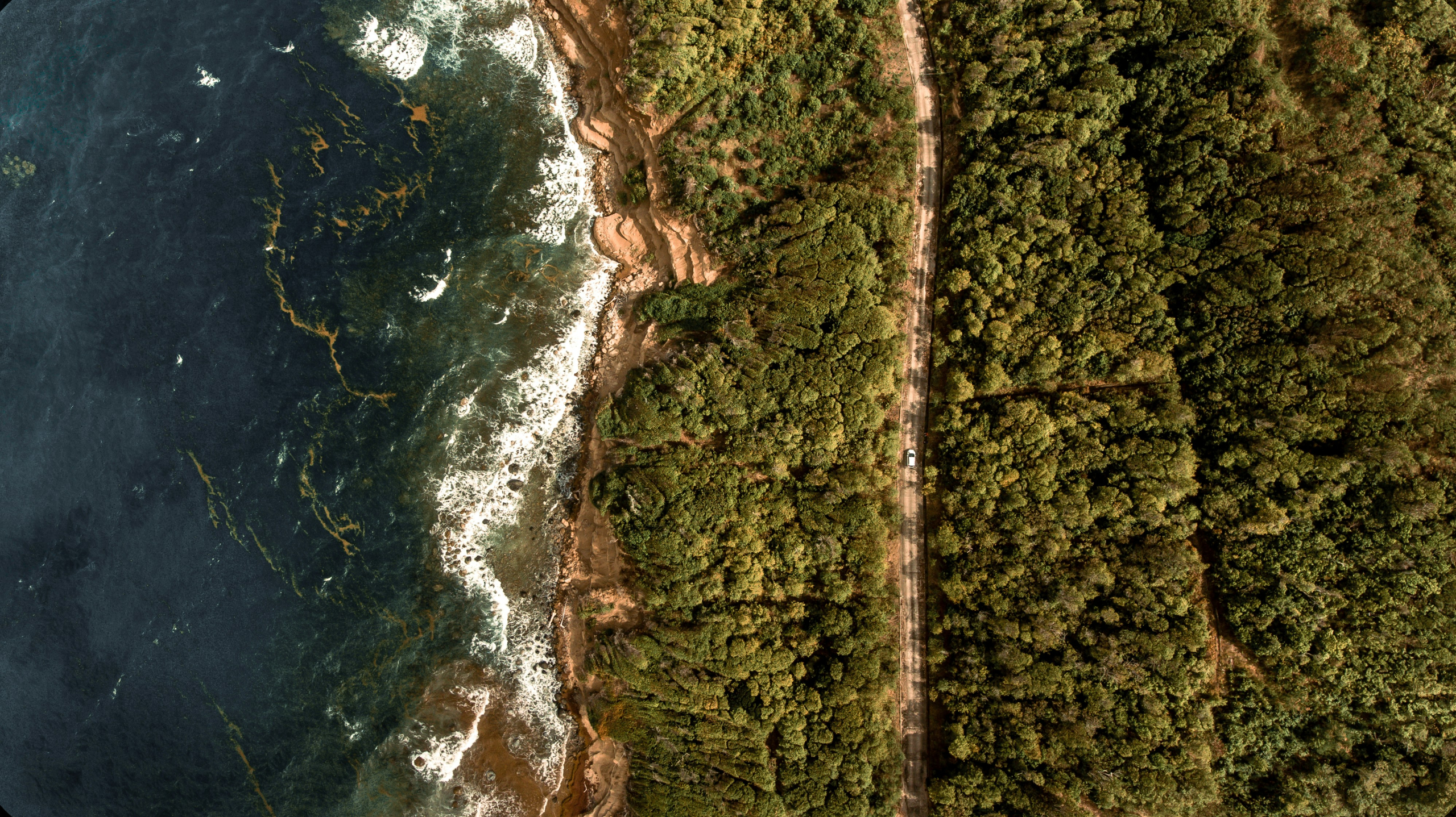 Tackling the Sargassum challenge with science, data and community action across the Atlantic