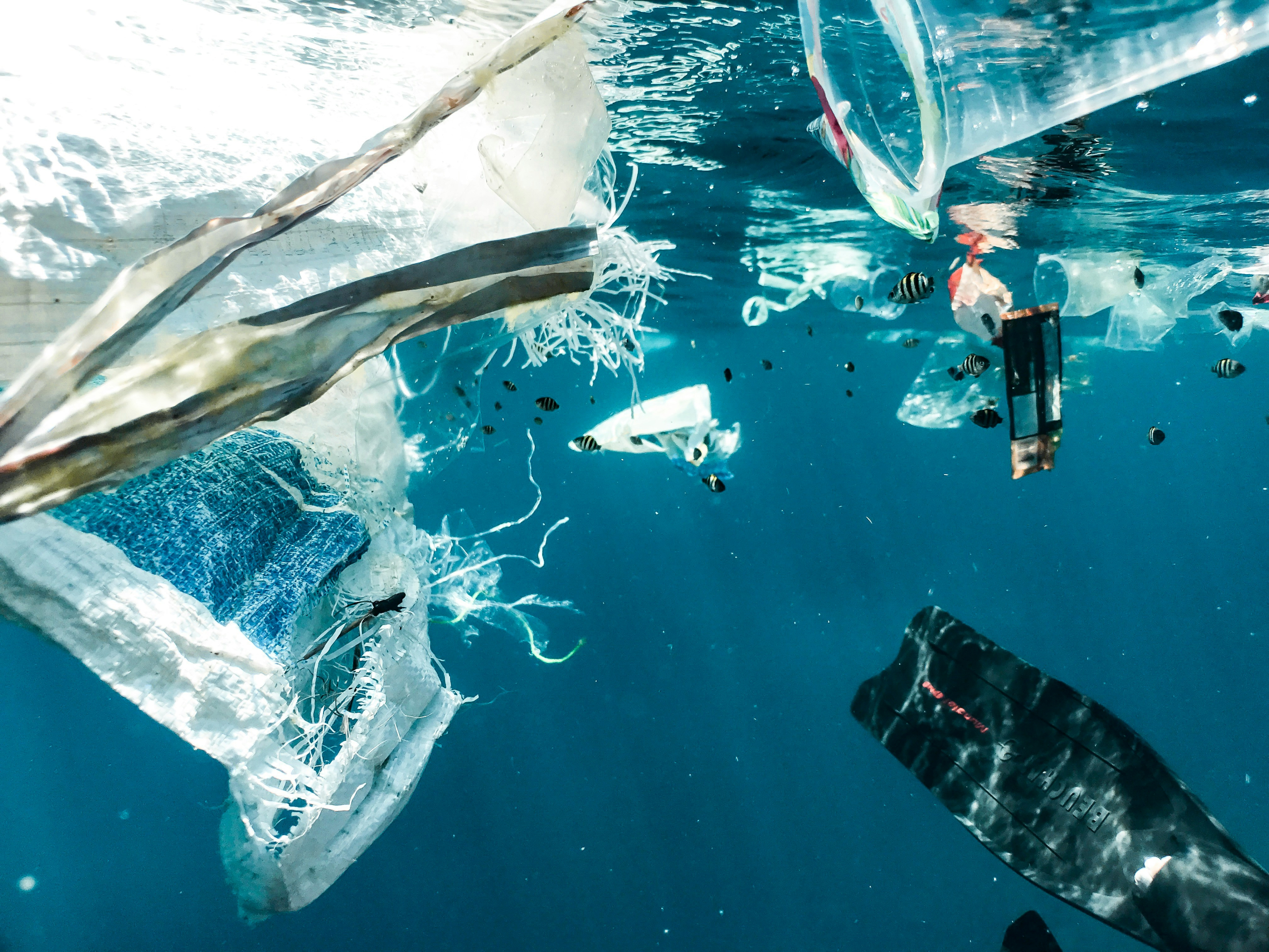 AIR Centre showcases AI-based workflow to detect suspected marine plastic debris from space