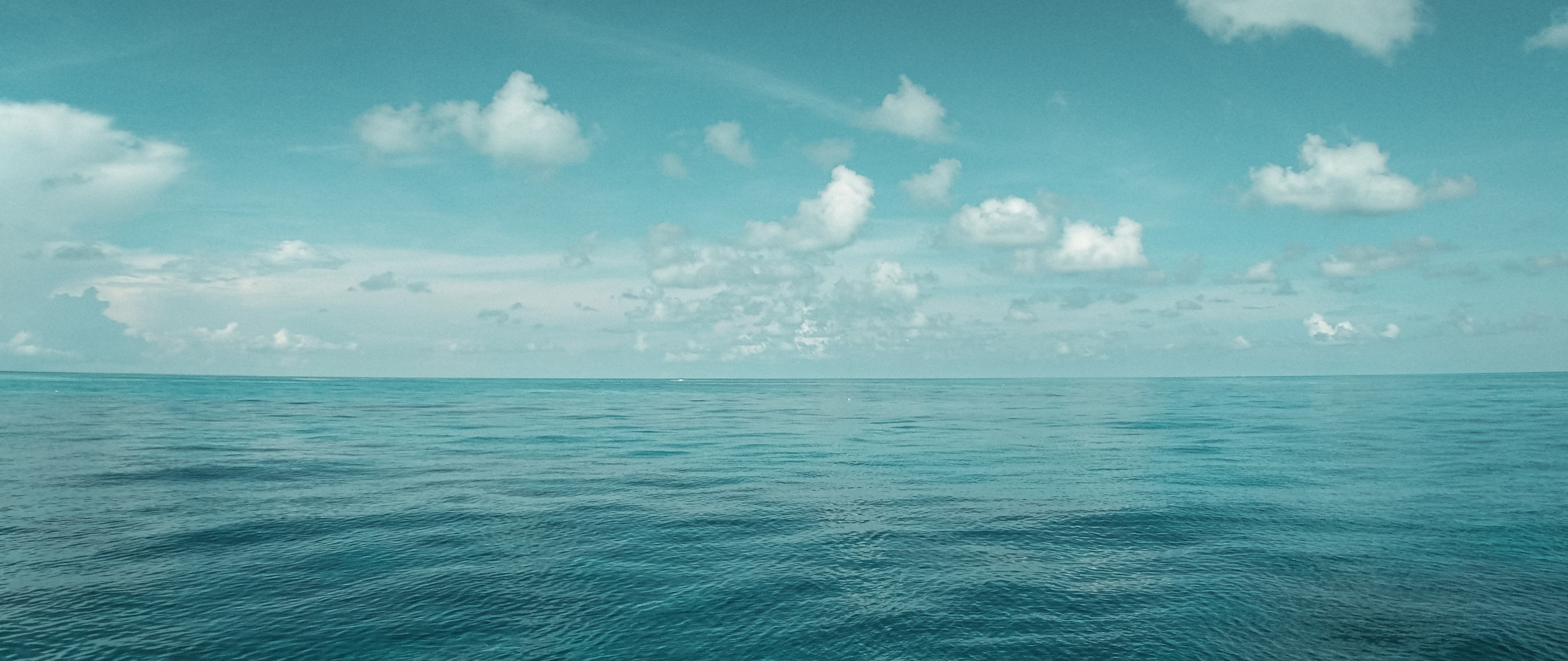 Agile EO Information Development (GDA-AID): Marine Environment and Blue Economy