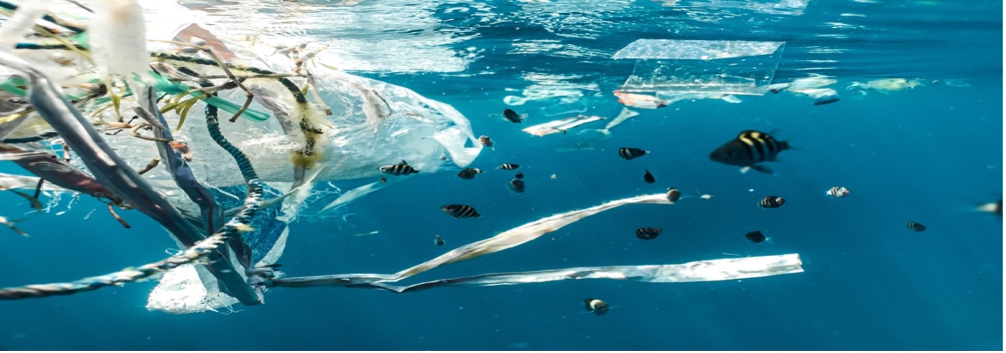 Land-Based Solutions for Plastics in the Sea