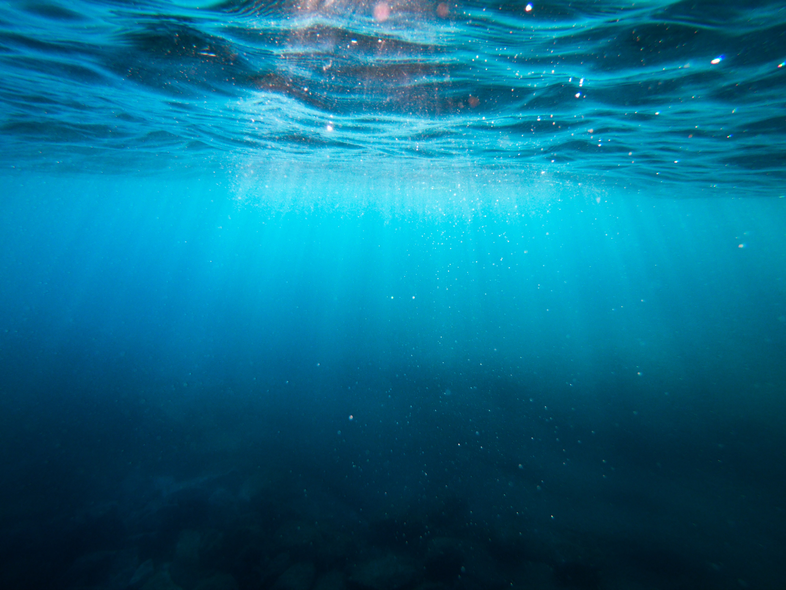 Knowledge and Data from the Deep to Space