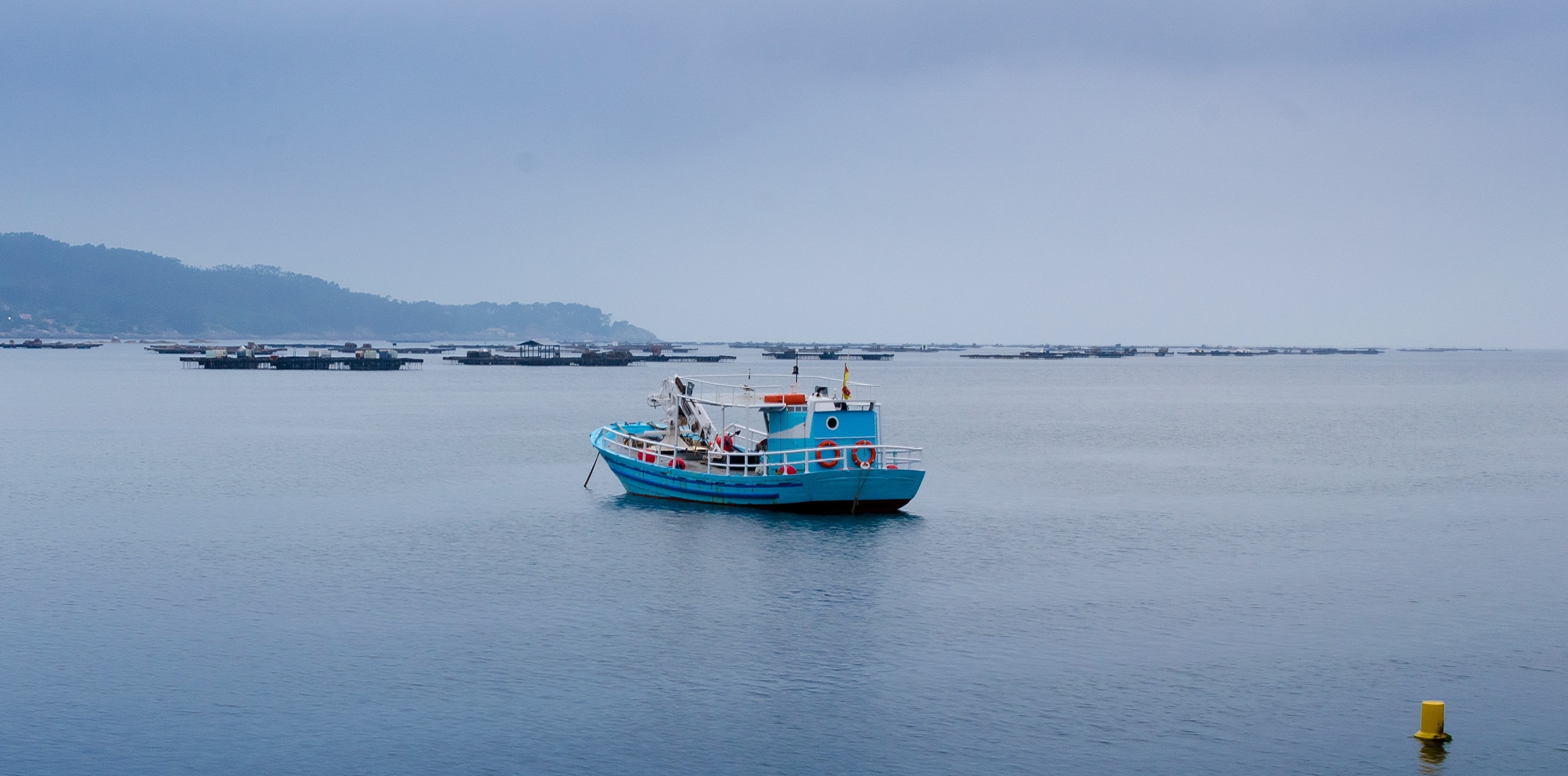 A Tracking System for More Sustainable Fishing