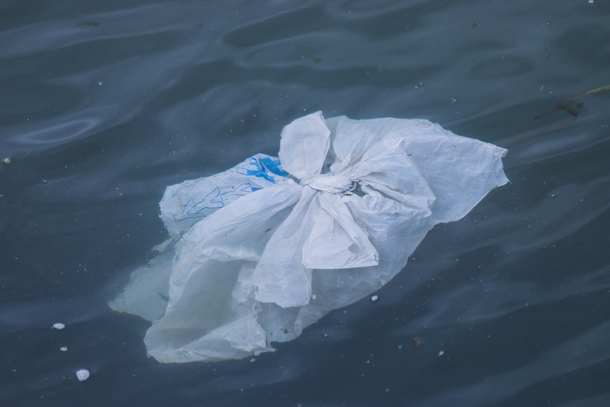 Detection of Marine Litter through Advanced Spectroscopic Techniques and Signal Processing