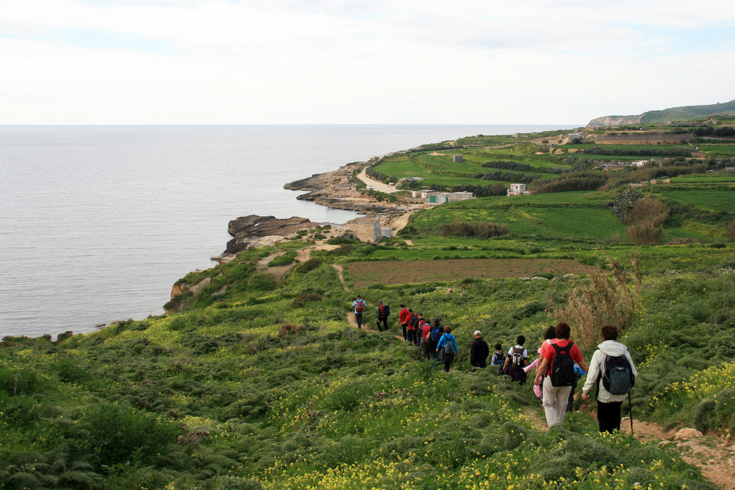 Experienciar a biodiversidade nos Açores de forma inovadora e inclusiva