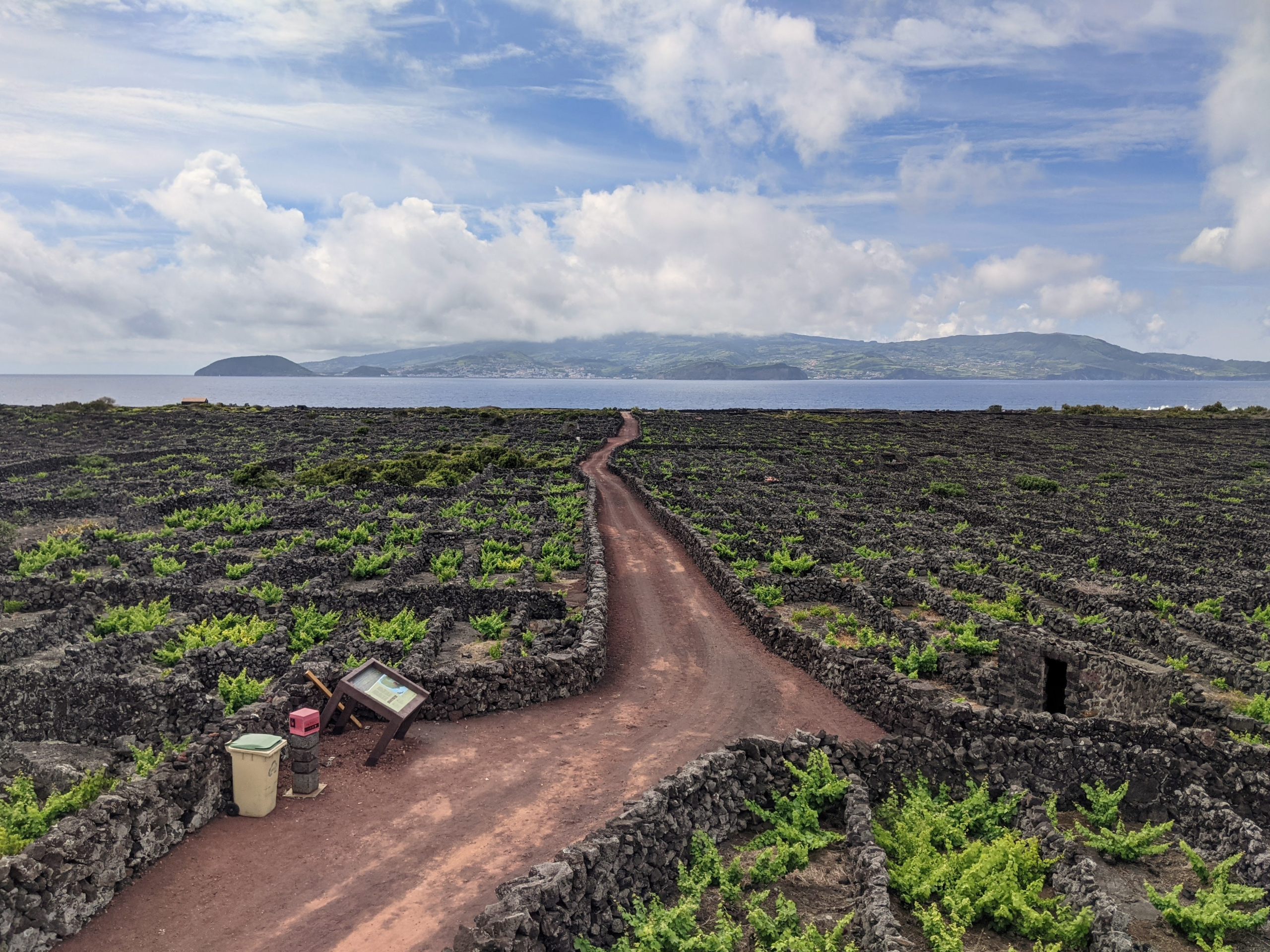 A Digital Platform to support Decision-Making on Agricultural Management Practices of Vineyards in Azores