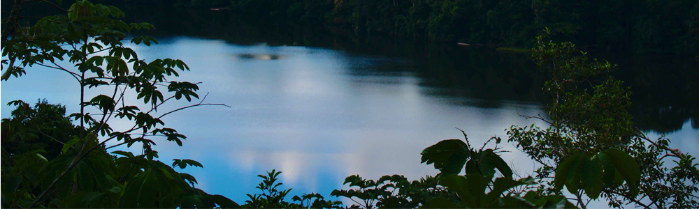 Amazonia