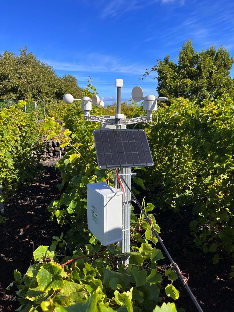 SOFIS weather station installed in Azores vineyard